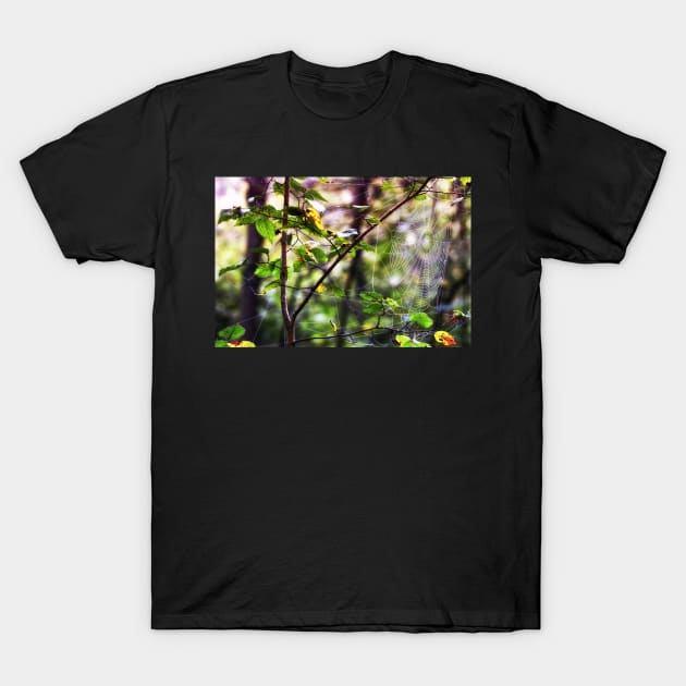 heidiannemorris,Spider web in the woods T-Shirt by heidiannemorris